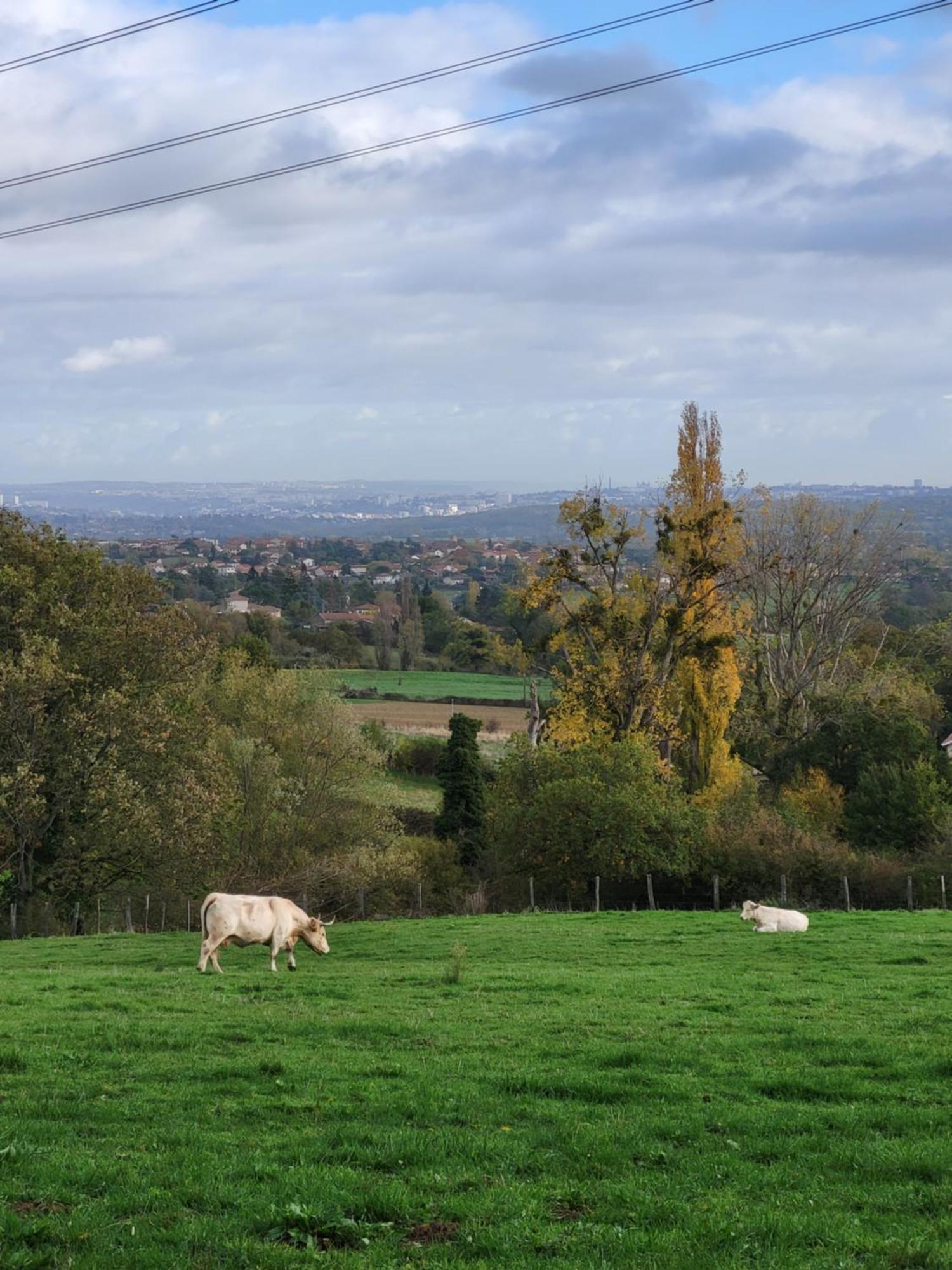 Appart'Hotel Le Clos Lassagne A Brignais - Lyon Sud 外观 照片